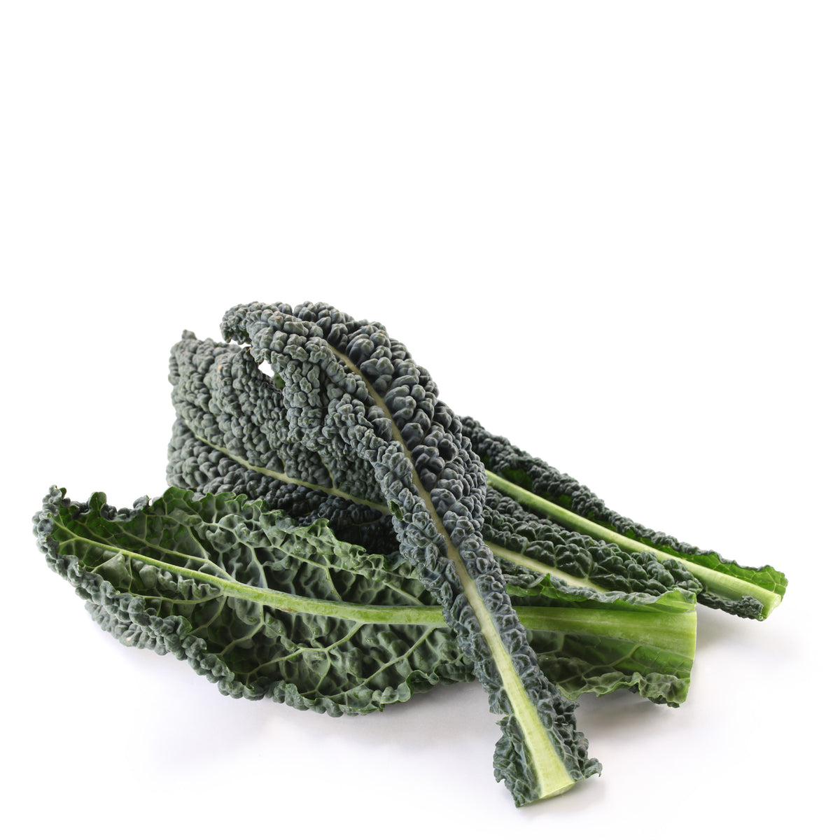 Kale Black