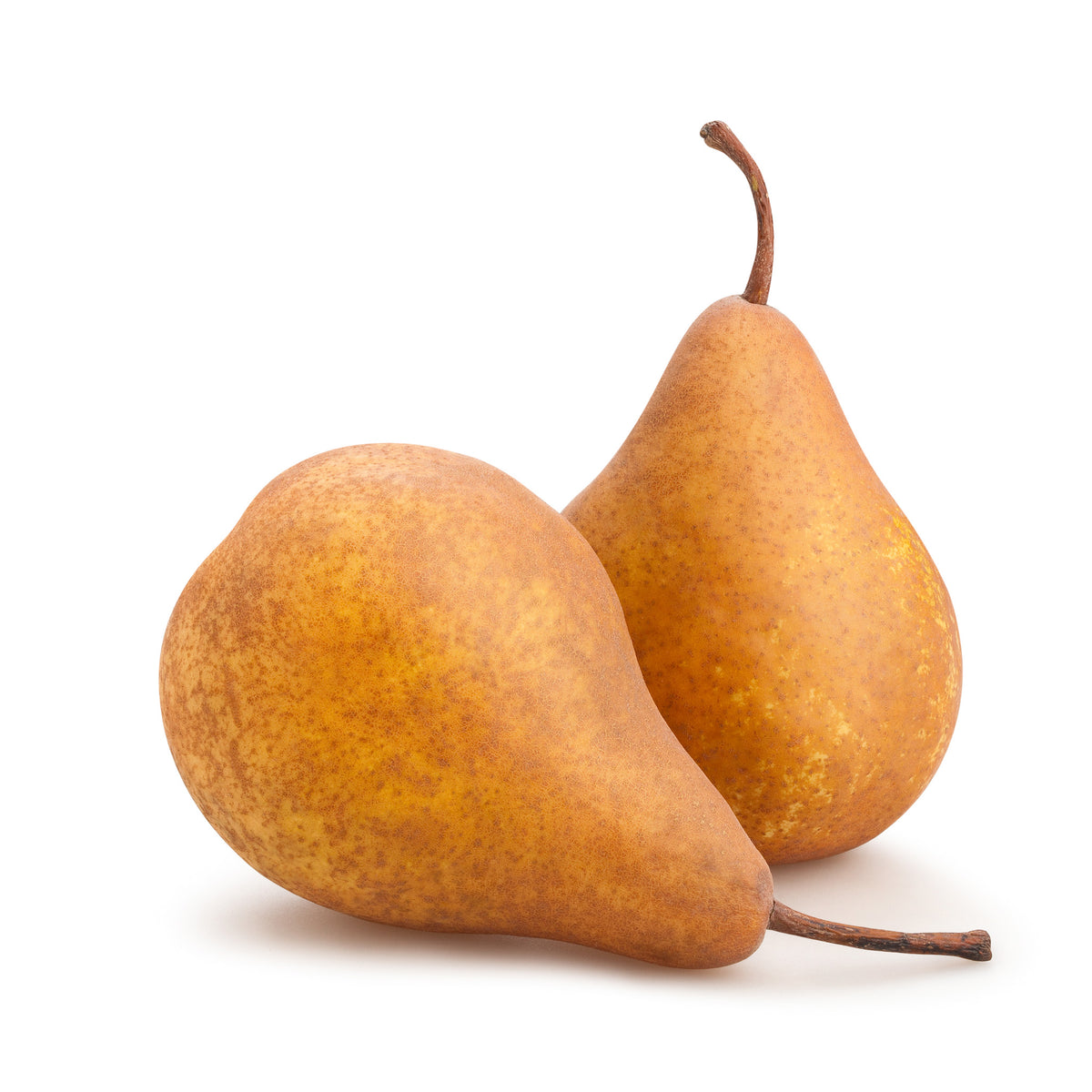 Pear Bosc