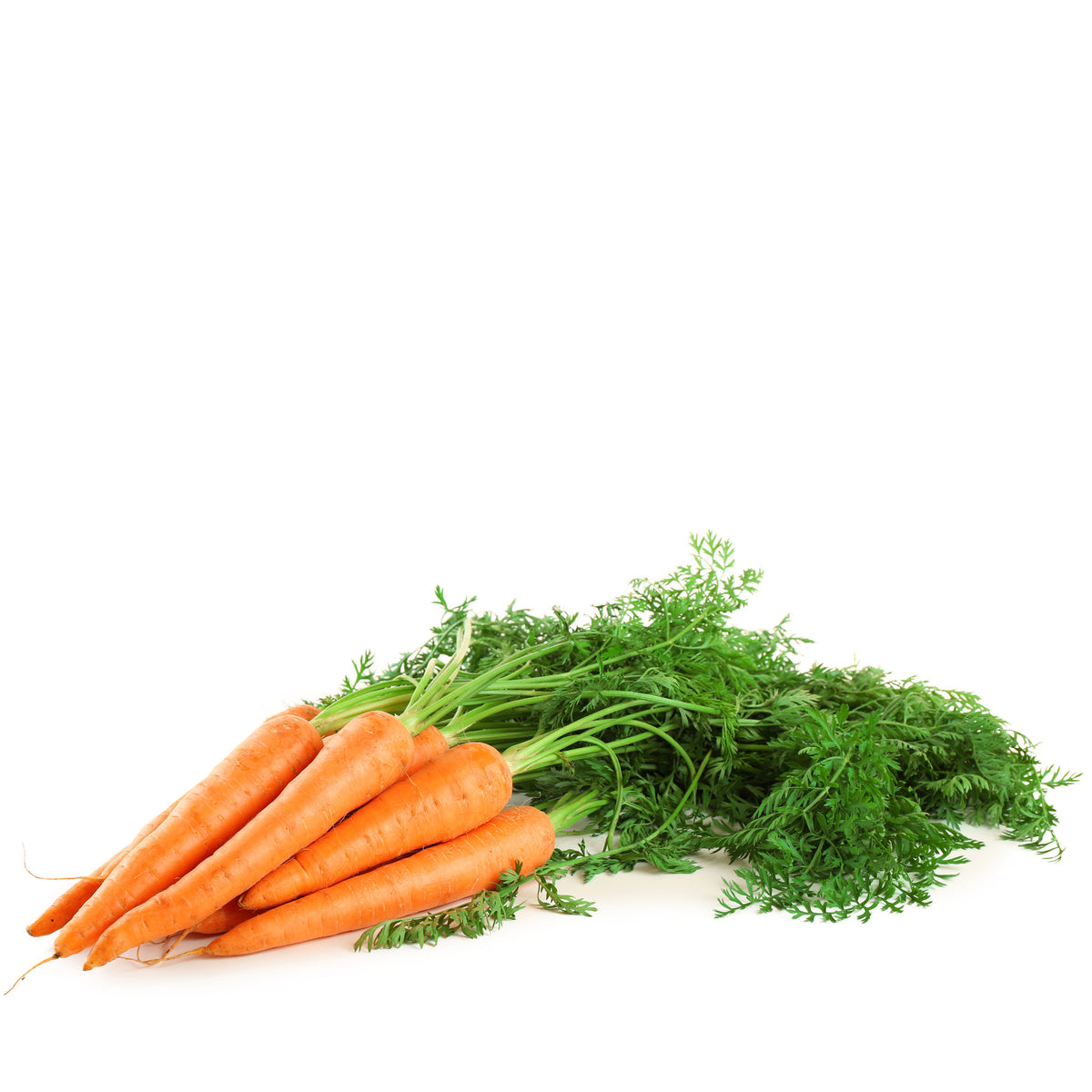Carrot Bunch