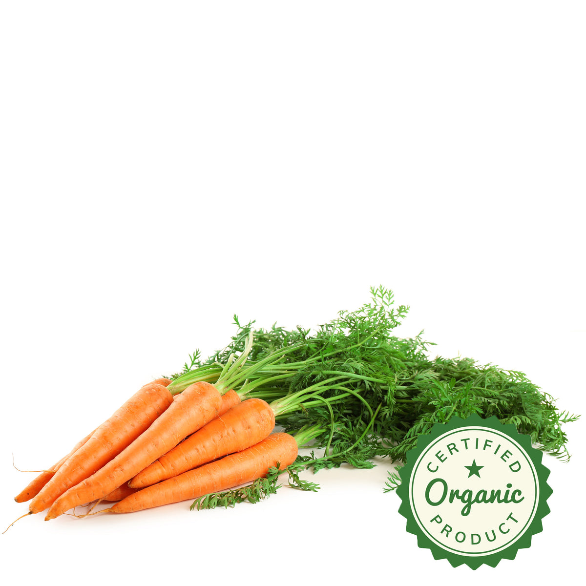 Carrot Organic Bunch