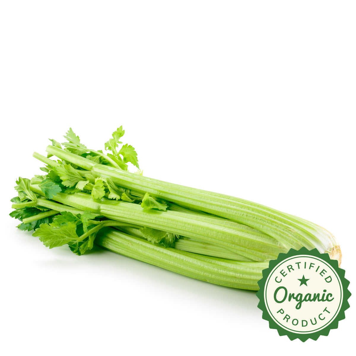 Celery Organic