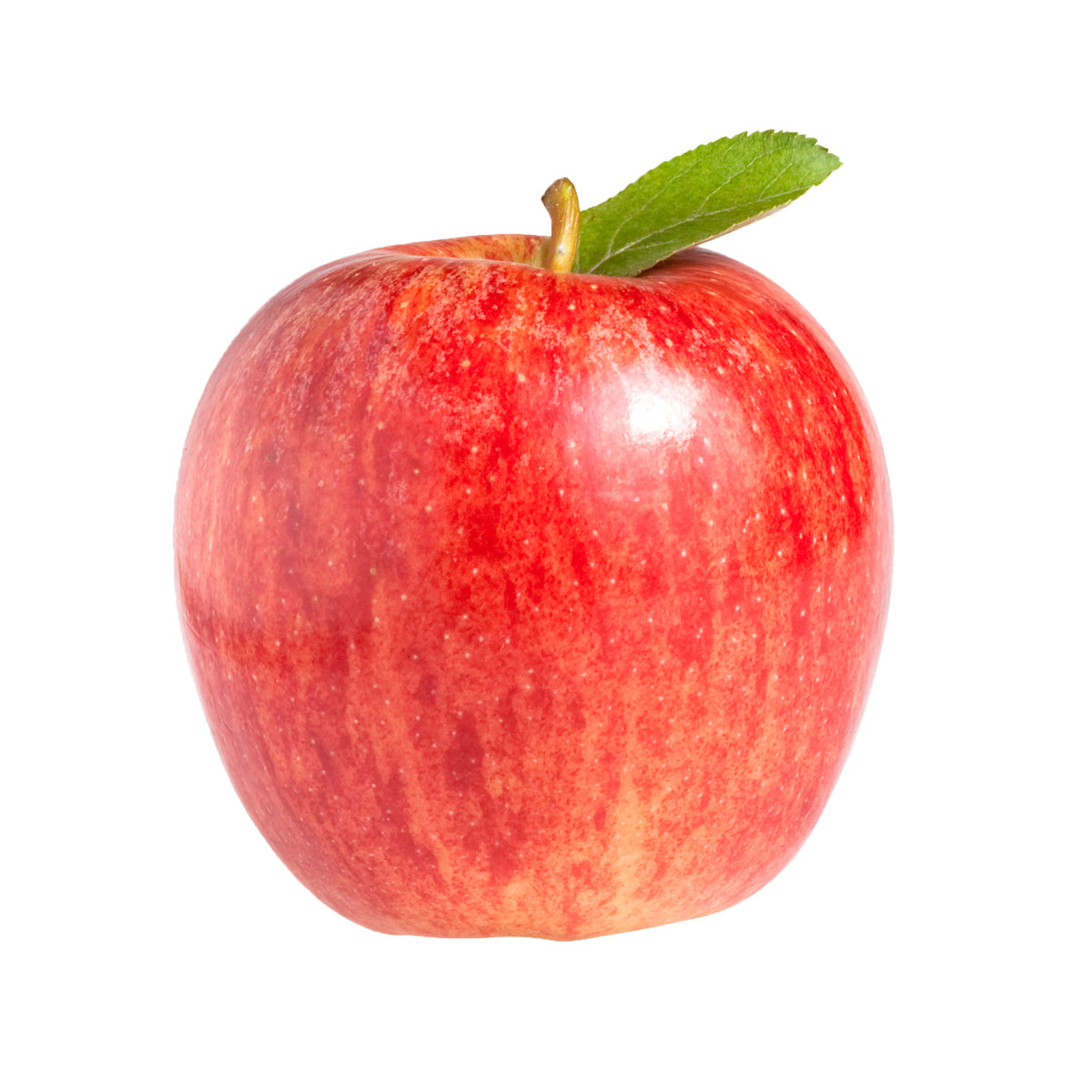 Apple Gala