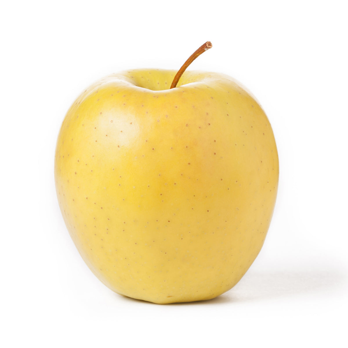 Apple Golden Delicious