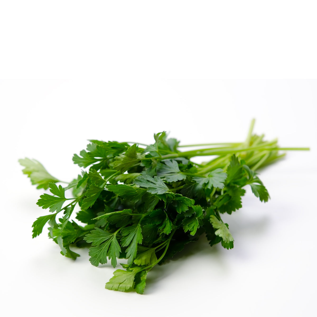 Fresh Parsley Italian/Plain