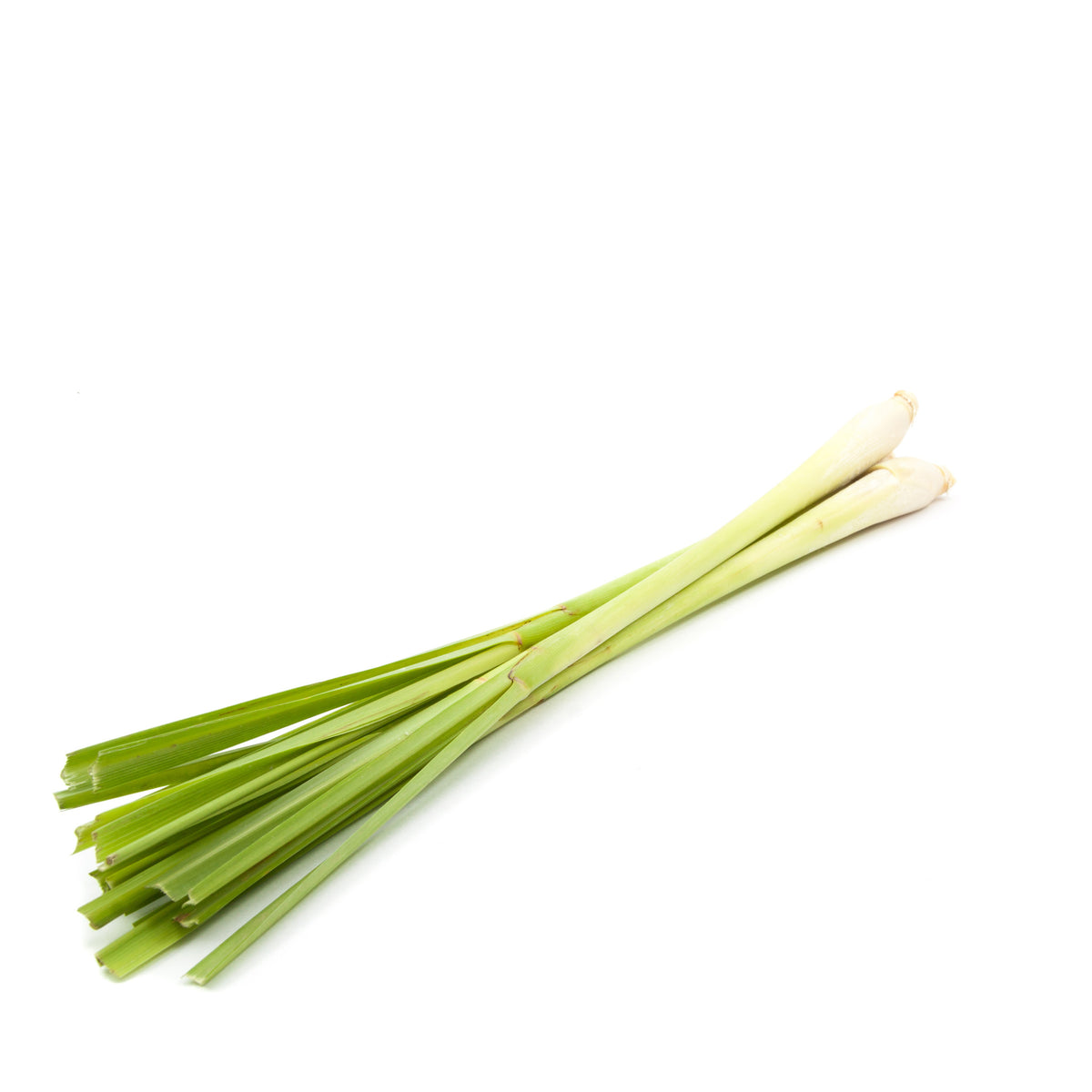 Fresh Lemongrass