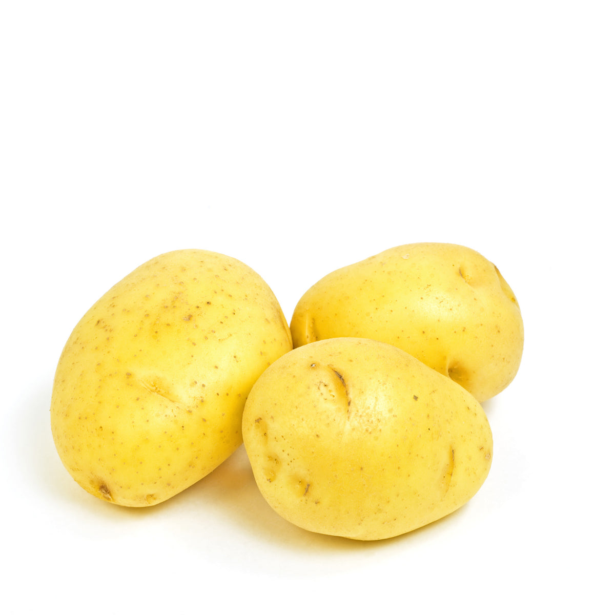 Potato Yukon Gold