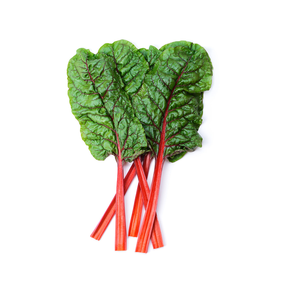 Swiss Chard Red