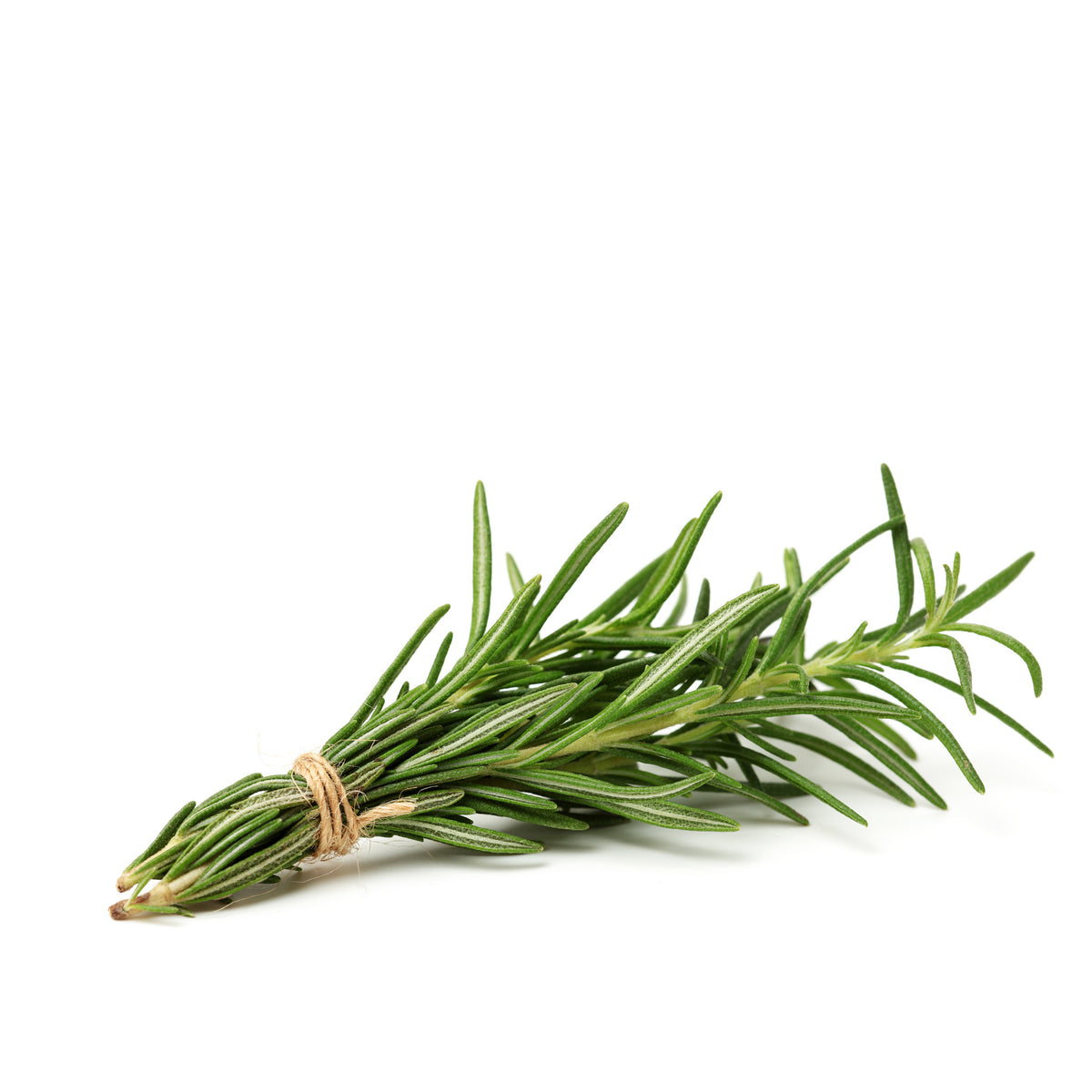 Fresh Rosemary