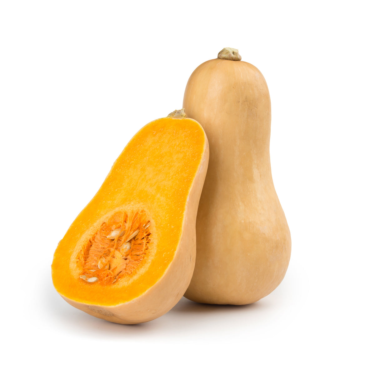 Squash Butternut