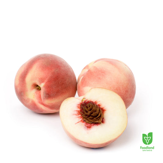Peach ON White