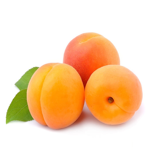 Apricot