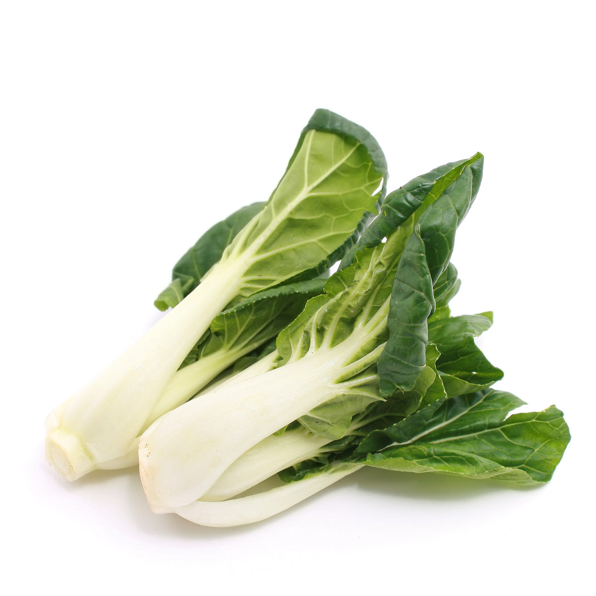 Bok Choy Baby
