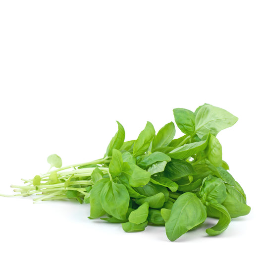 Fresh Basil
