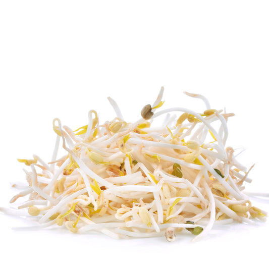 Bean Sprouts