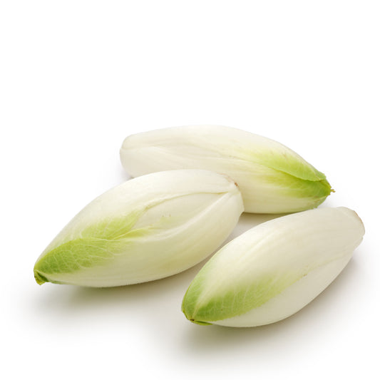Belgium Endive
