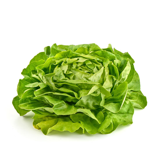Lettuce Boston