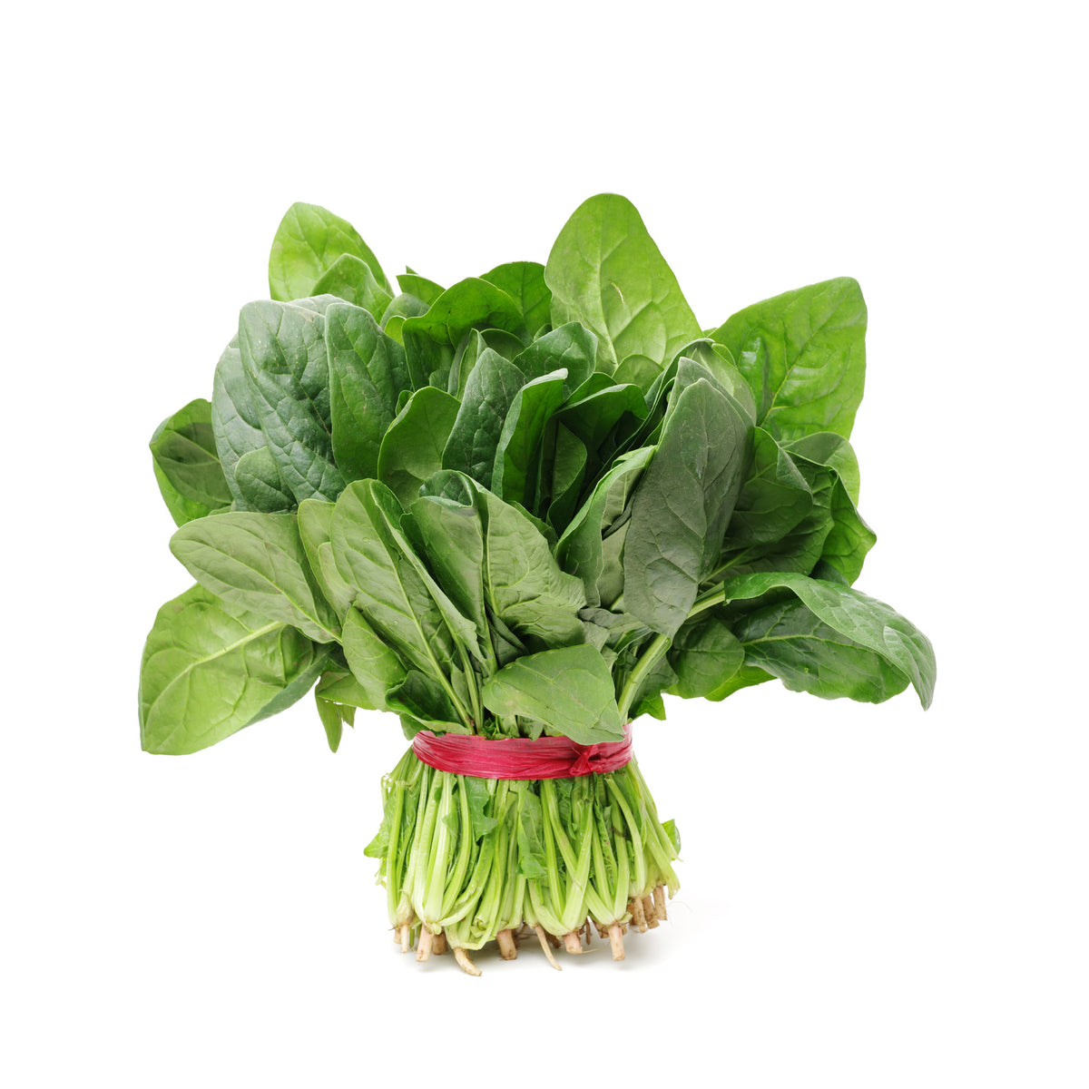 Spinach Bunch