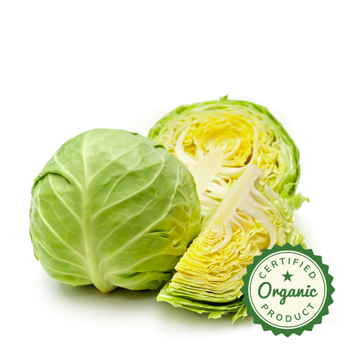 Cabbage Organic Green