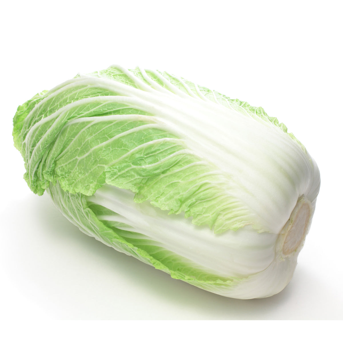 Cabbage Nappa