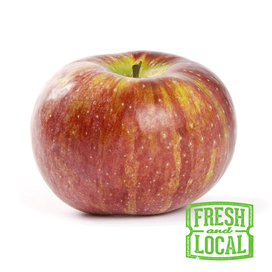 Apple Cortland Local