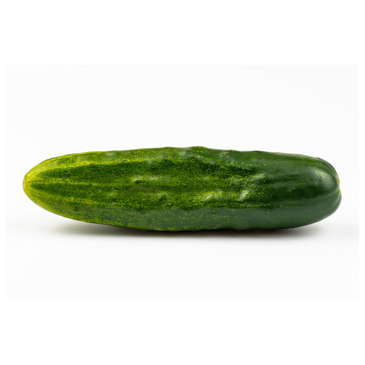 Cucumber Field