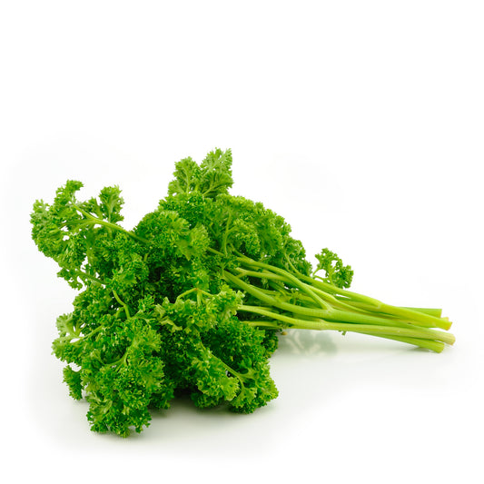 Fresh Parsley Curly