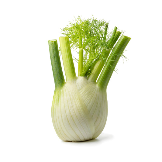 Fennel