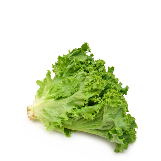 Lettuce Green Leaf