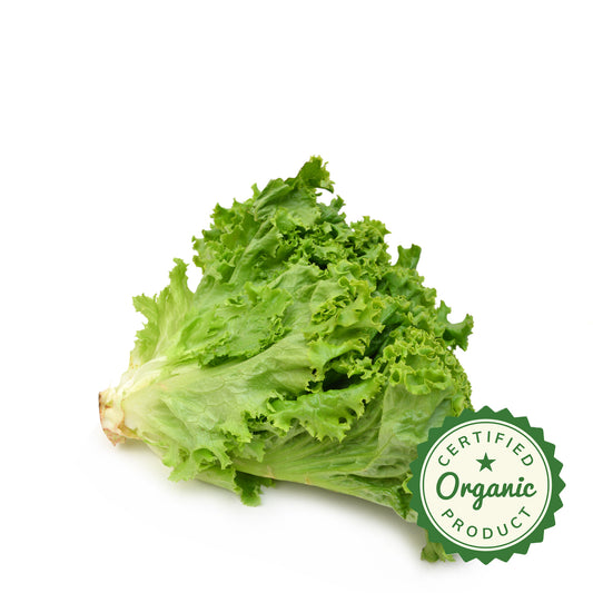 Lettuce Green Leaf Organic
