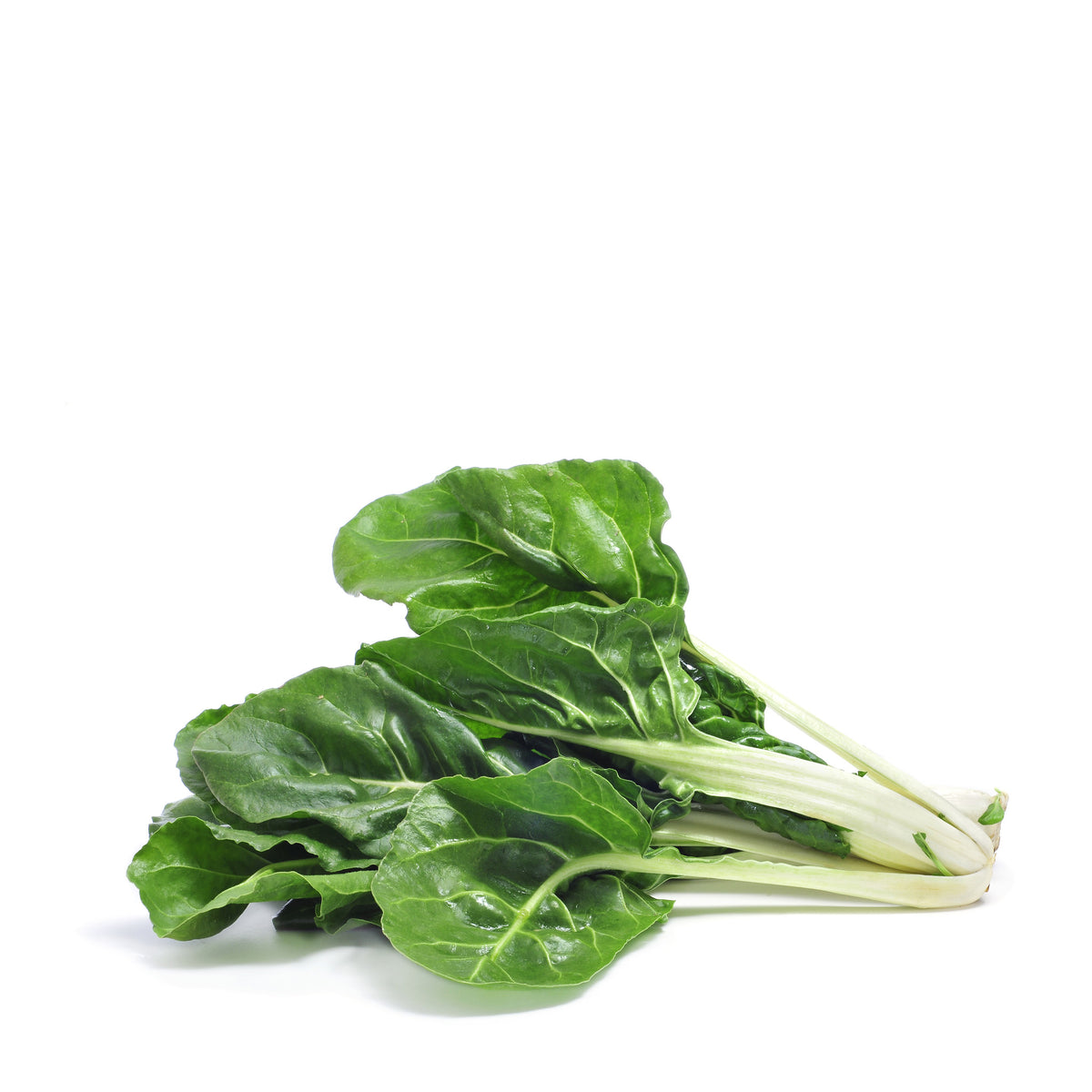 Swiss Chard Green