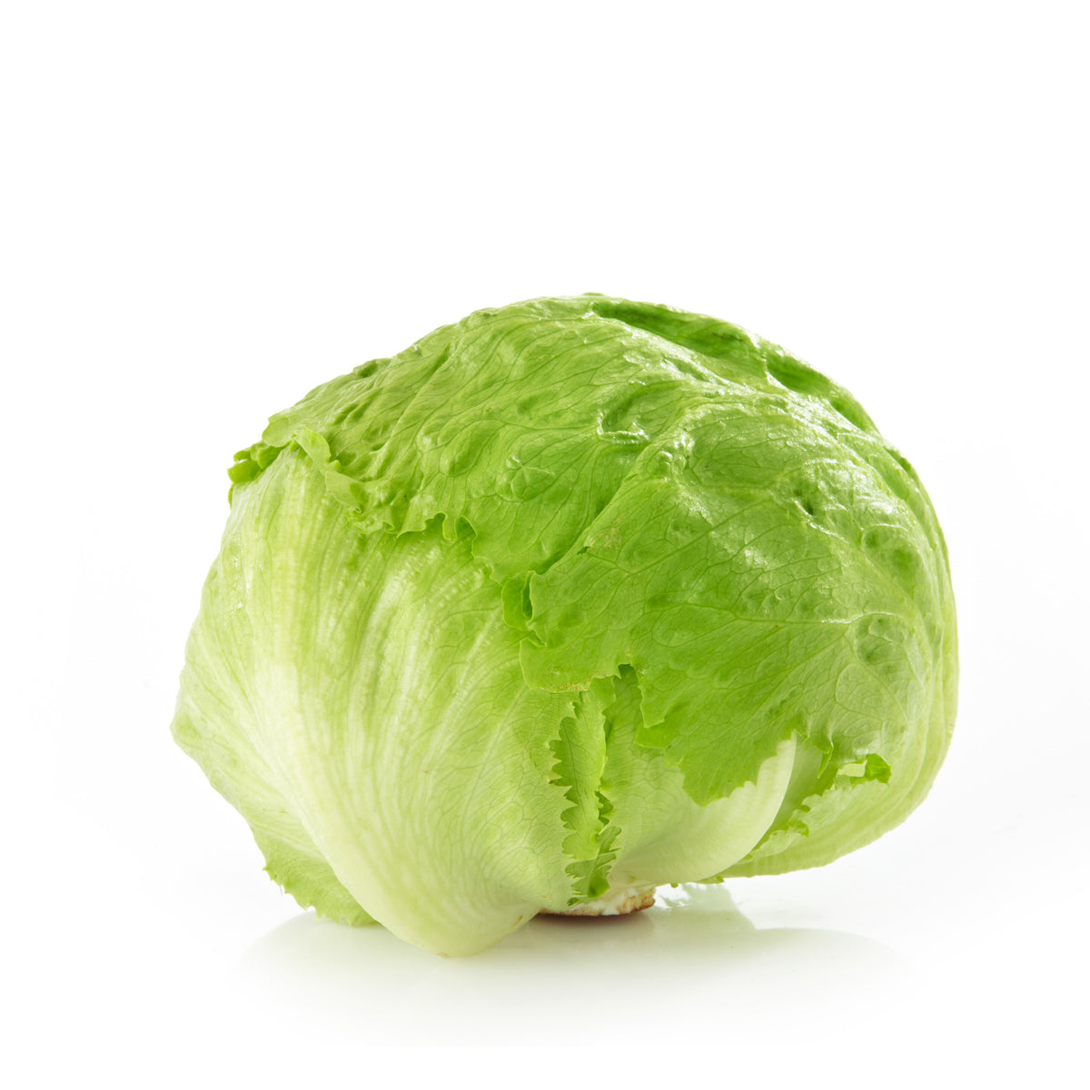 Lettuce Head/Iceberg