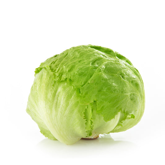 Lettuce Head/Iceberg