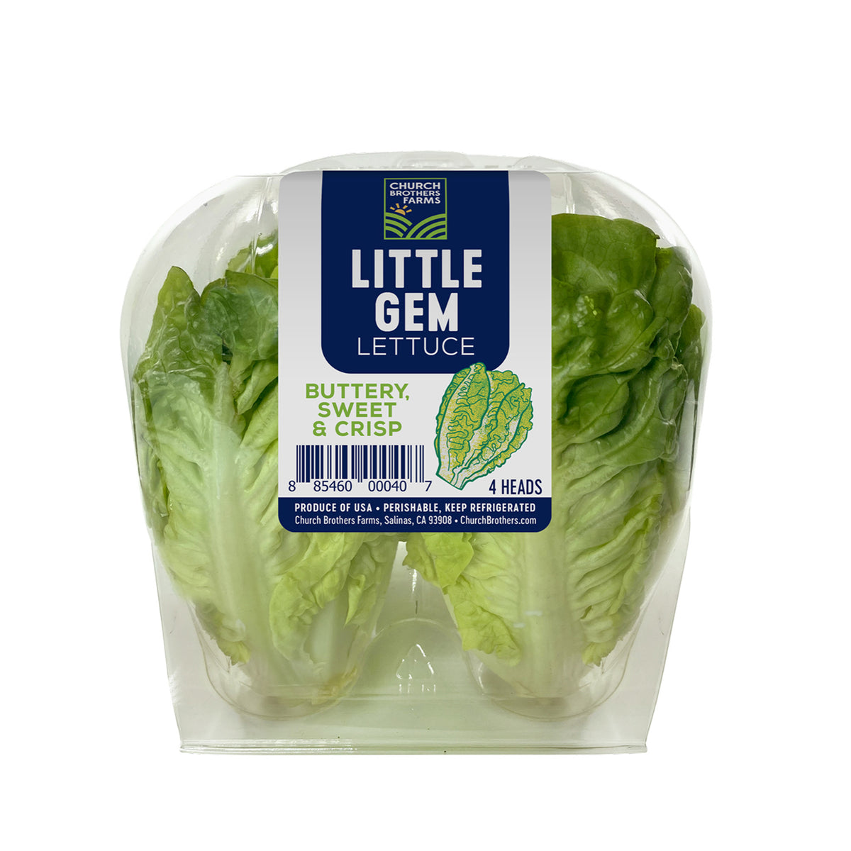 Lettuce Little Gem