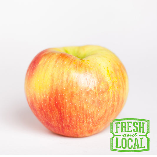 Apple Local Spy
