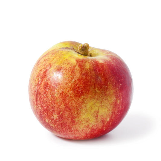 Apple McIntosh