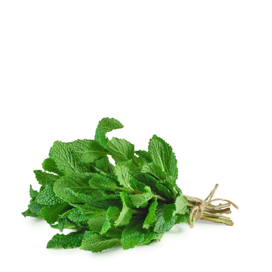 Fresh Mint