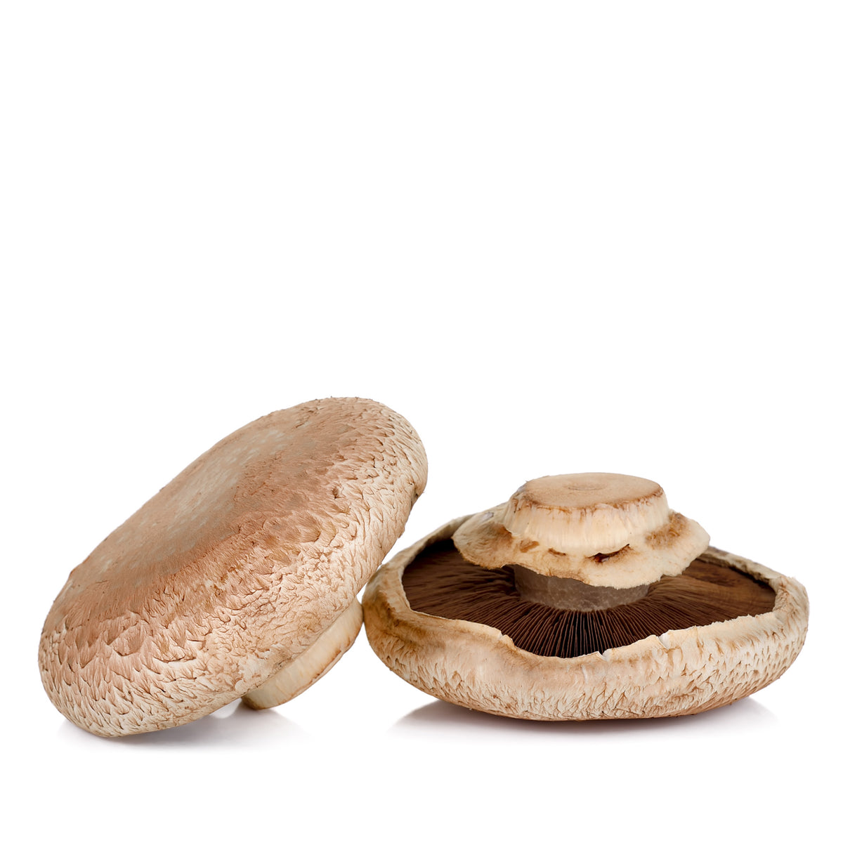 Mushroom Portobello