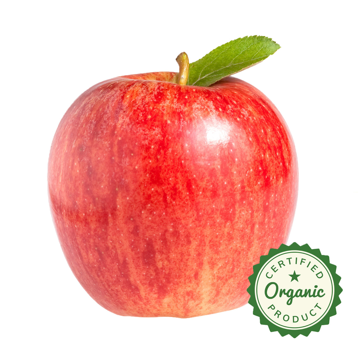 Apple Organic Gala