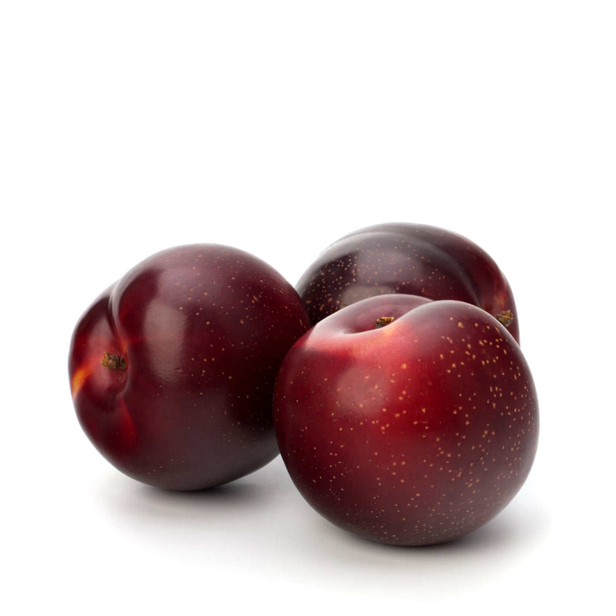 Plum Red