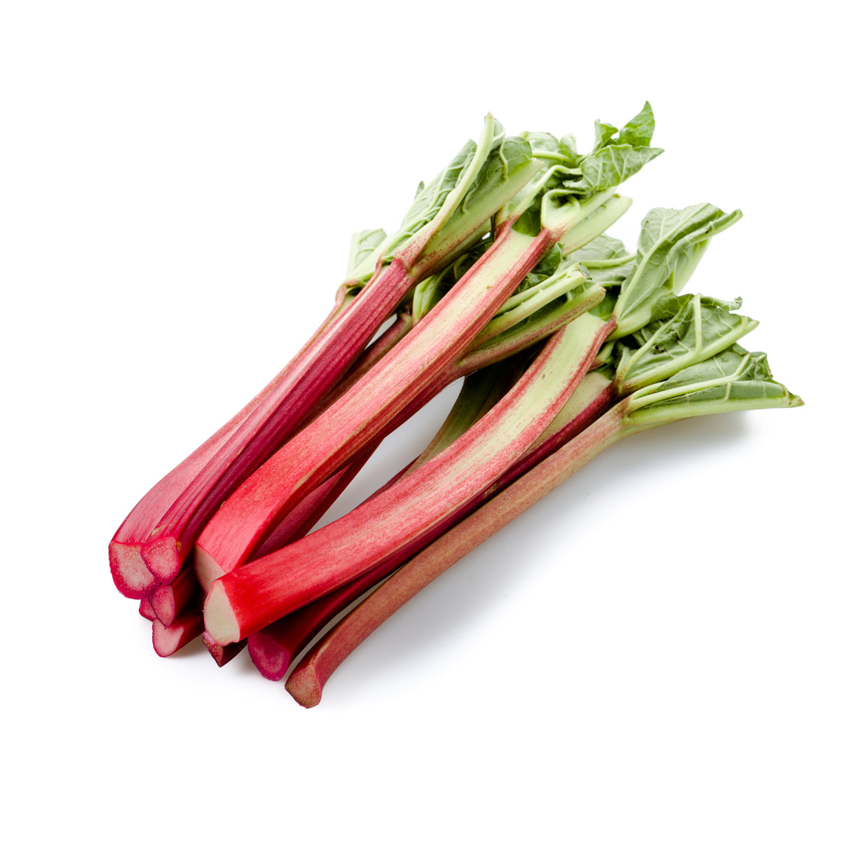 Rhubarb