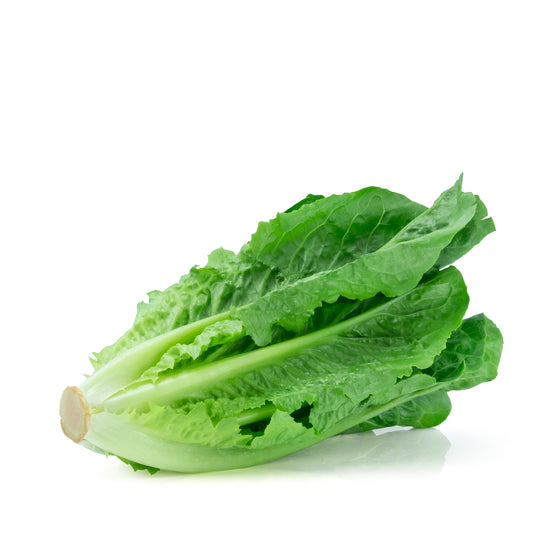 Lettuce Romaine