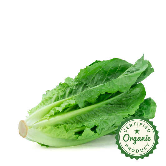 Lettuce Romaine Organic