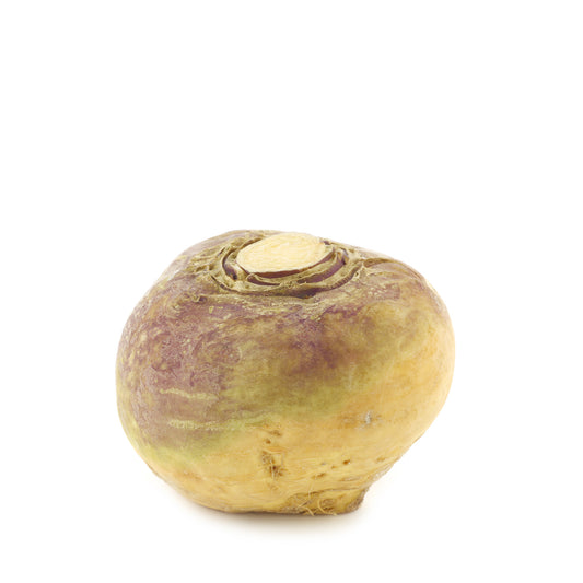 Rutabaga/ Wax Turnip