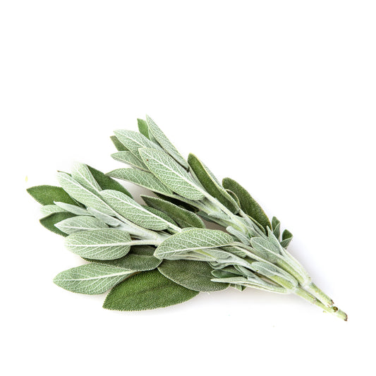 Fresh Sage