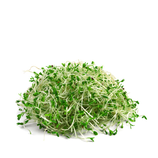 Sprouts Alfalfa