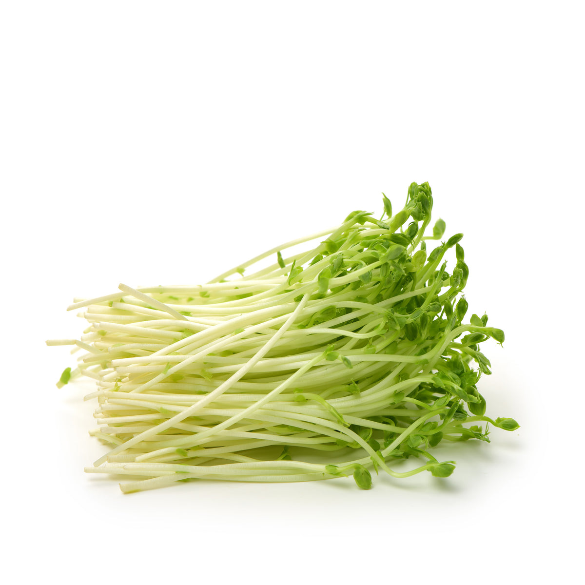 Sprouts Pea Shoots