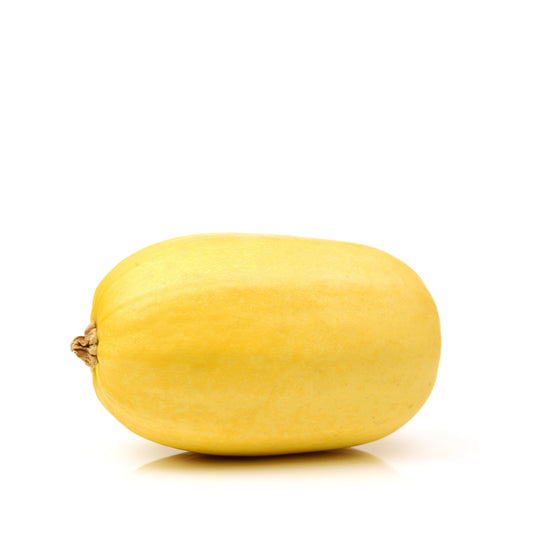 Squash Spaghetti