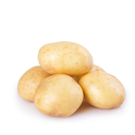 Potato White Large